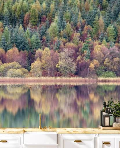 Efteråret Forest Lake Baggrund