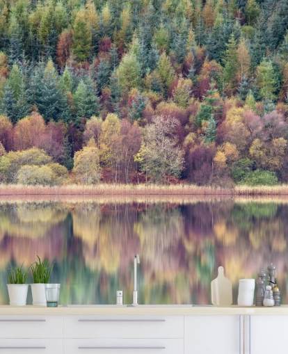 Autumn Forest Lake Wallpaper