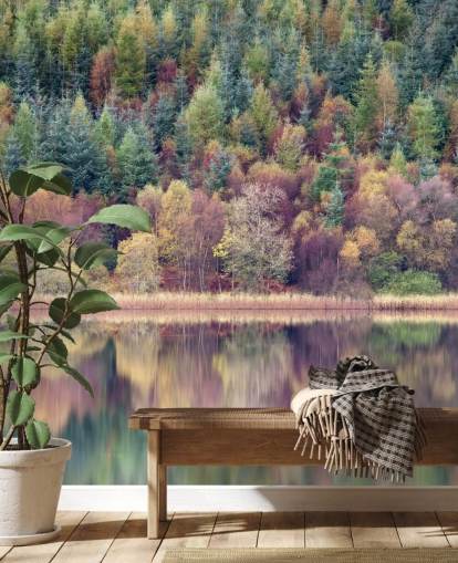 Autumn Forest Lake Wallpaper