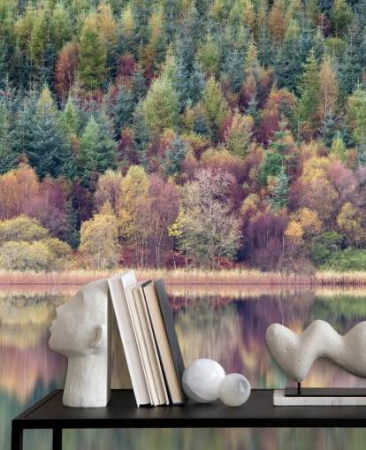 Carta da parati autunno foresta lago