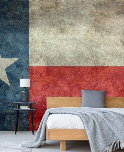 Peinture murale de style rétro vintage avec le drapeau de l'État du Texas