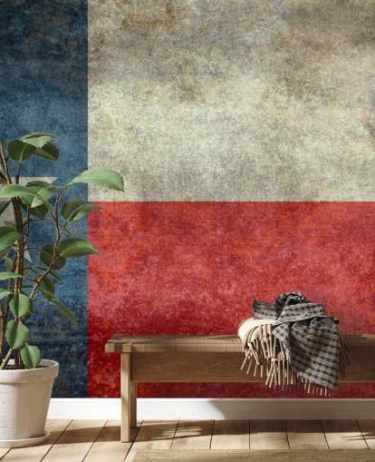 Peinture murale de style rétro vintage avec le drapeau de l'État du Texas