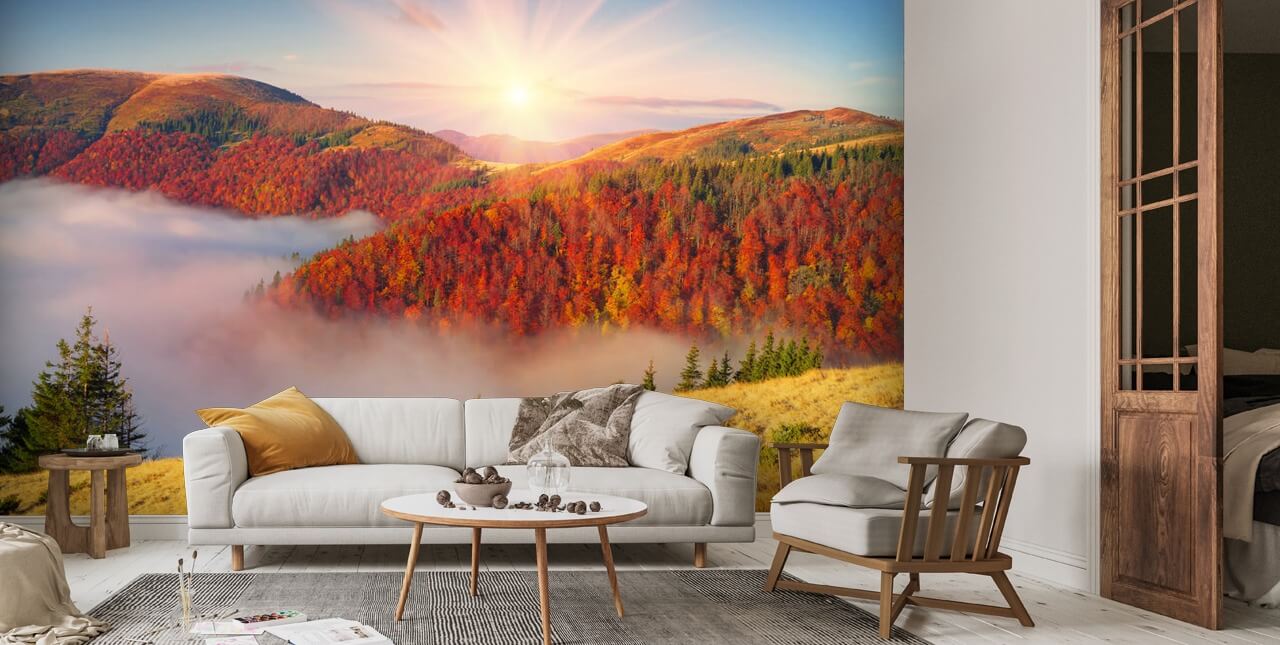 Fog in the autumn Wallpaper Mural | Wallsauce UK