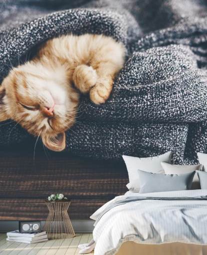 gatito jengibre dormido en manta gris