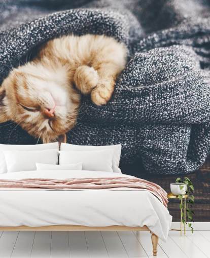 ginger kitten asleep on grey blanket