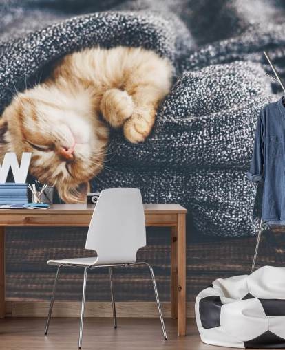 chaton roux endormi sur une couverture grise