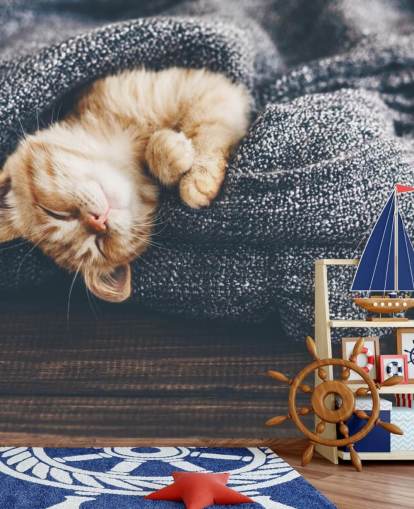 gattino zenzero addormentato sulla coperta grigia