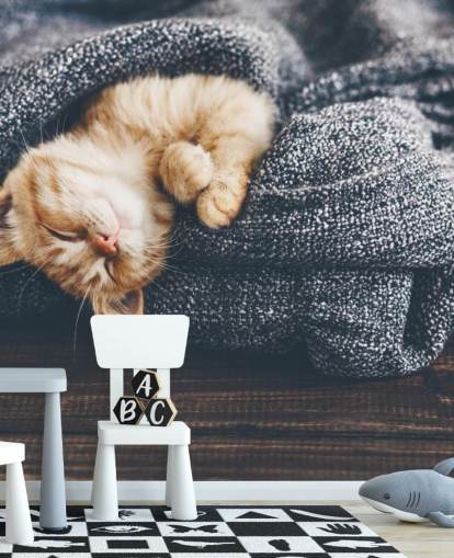 ginger kitten asleep on grey blanket
