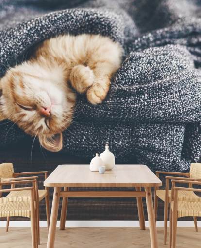 ginger kitten asleep on grey blanket