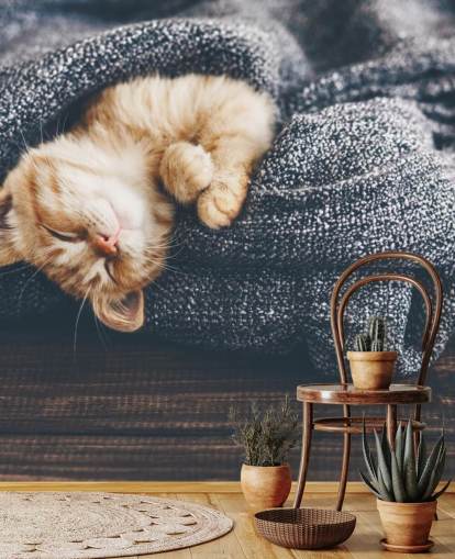 gatito jengibre dormido en manta gris