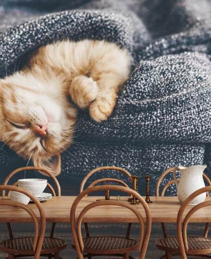 chaton roux endormi sur une couverture grise