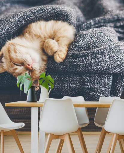 ginger kitten asleep on grey blanket