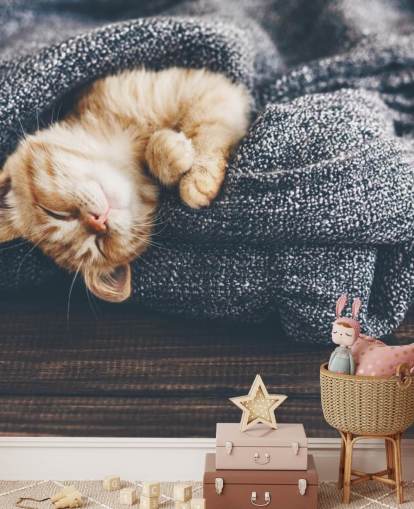 gattino zenzero addormentato sulla coperta grigia gattino zenzero addormentato sulla coperta grigia