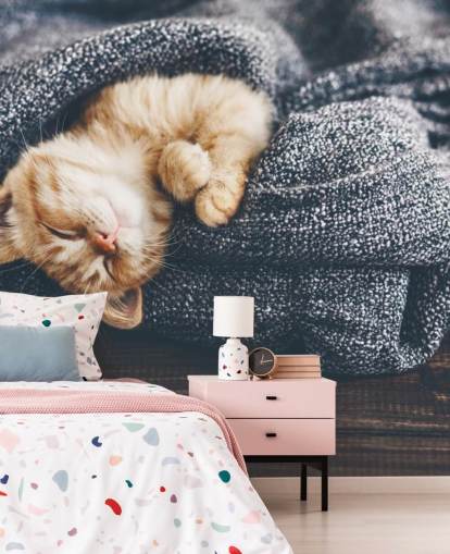 chaton roux endormi sur une couverture grise