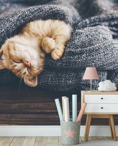 chaton roux endormi sur une couverture grise