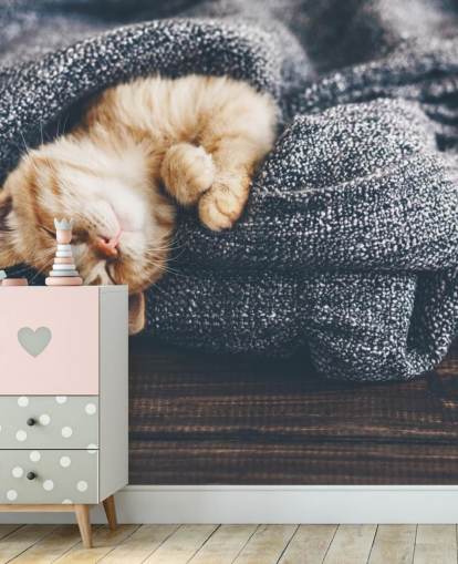 ginger kitten asleep on grey blanket ginger kitten asleep on grey blanket