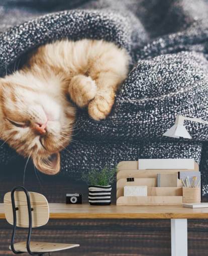 ginger kitten asleep on grey blanket