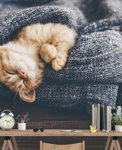 ingefær kattunge sover på grått teppe