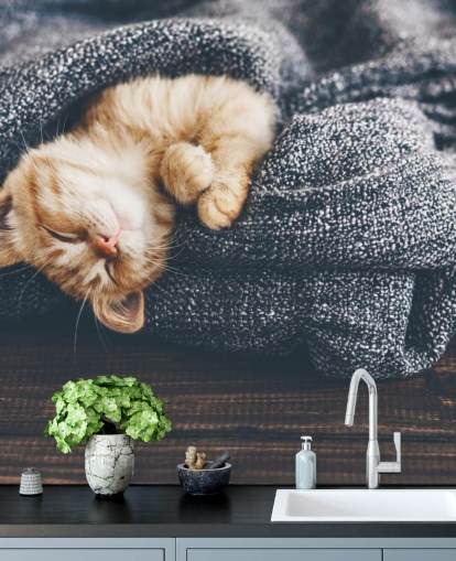 ginger kitten asleep on grey blanket ginger kitten asleep on grey blanket
