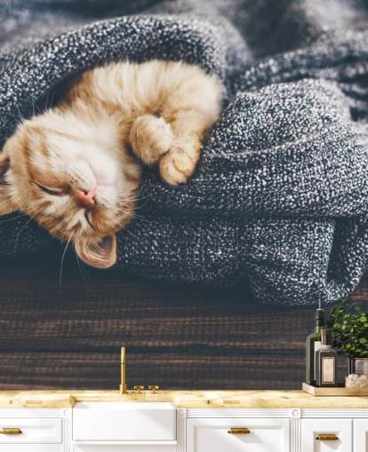 ginger kitten asleep on grey blanket ginger kitten asleep on grey blanket
