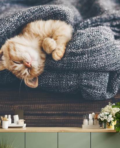ginger kitten asleep on grey blanket