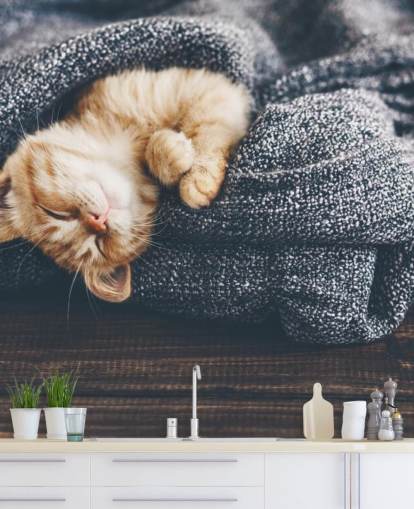 ginger kitten slaapt op grijze deken ginger kitten slaapt op grijze deken