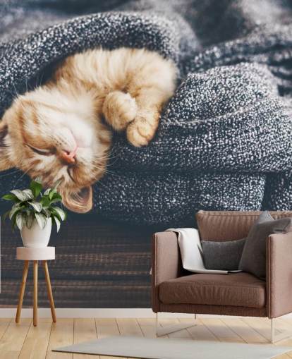 gatito jengibre dormido en manta gris