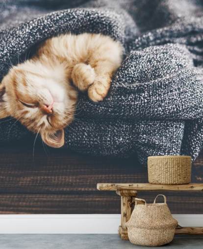 ginger kitten asleep on grey blanket