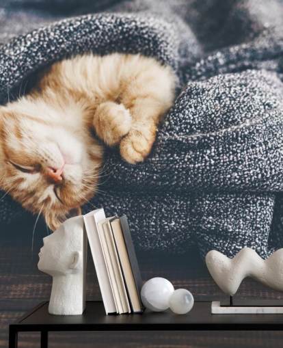 gatito jengibre dormido en manta gris