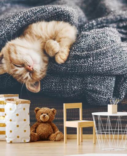 gatito jengibre dormido en manta gris