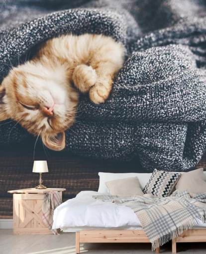 gatito jengibre dormido en manta gris