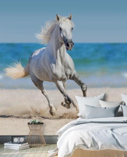 White Horse Running on the Beach Mural