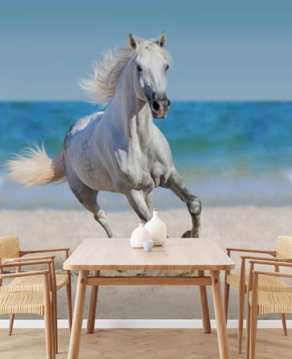 Vit häst som springer på stranden väggmålning