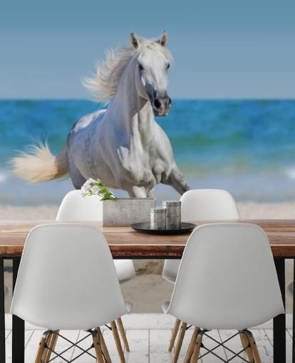Mural de caballo blanco corriendo por la playa