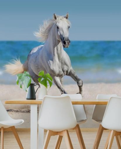 Peinture murale Cheval blanc courant sur la plage Peinture murale Cheval blanc courant sur la plage