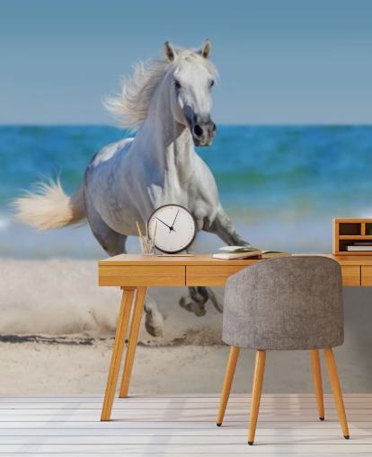 White Horse Running on the Beach Mural White Horse Running on the Beach Mural