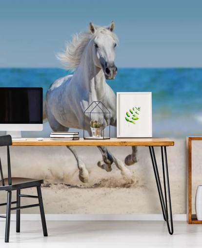 Hvit hest som løper på stranden veggmaleri