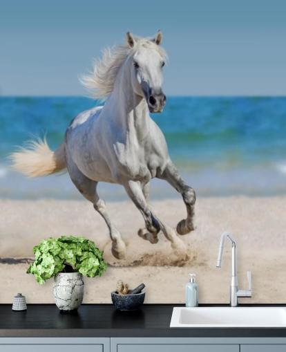 White Horse Running on the Beach Mural