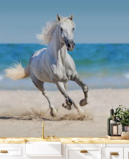 White Horse Running on the Beach Mural