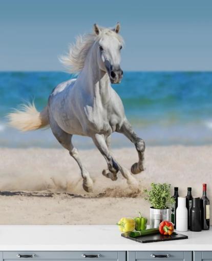 Hvit hest som løper på stranden veggmaleri Hvit hest som løper på stranden veggmaleri