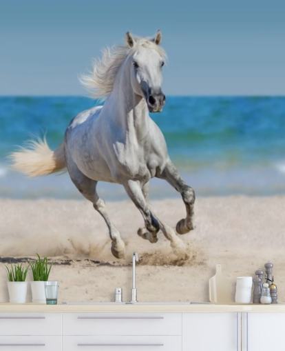 White Horse Running on the Beach Mural White Horse Running on the Beach Mural
