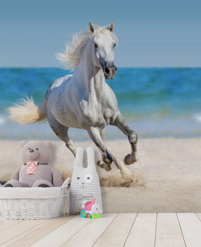 White Horse Running on the Beach Mural White Horse Running on the Beach Mural
