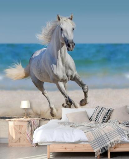 White Horse Running on the Beach Mural White Horse Running on the Beach Mural