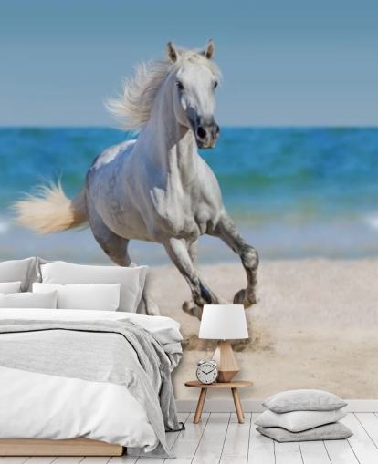 Peinture murale Cheval blanc courant sur la plage