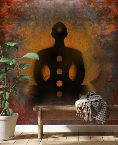 padmasana and chakra