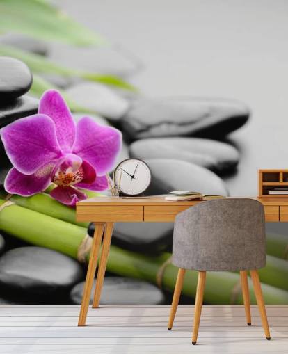 Relaxe na natureza Relaxing in Nature Wallpaper 