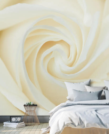 Papier Peint Fresque Gros plan d'une rose blanche Papier Peint Fresque Gros plan d'une rose blanche