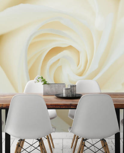 Close-up do White Rose Wall Mural 