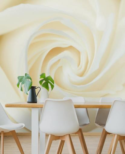 Papier Peint Fresque Gros plan d'une rose blanche 