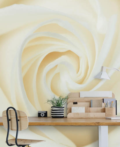 Close up of White Rose Wall Mural Close up of White Rose Wall Mural